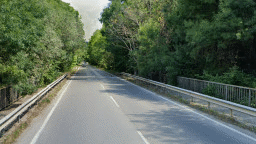 На 15 и 16 януари ще се премахват крайпътни дървета в участък от път I-9 в област Добрич. Шофирайте внимателно!