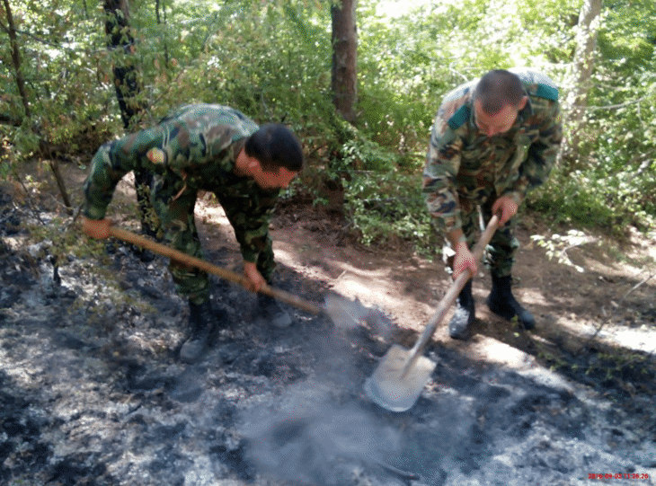 Военнослужещи от Сухопътните войски помагат за гасенето на пожара в горския масив край с. Хухла, Ивайловградско