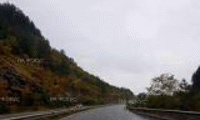 АПИ