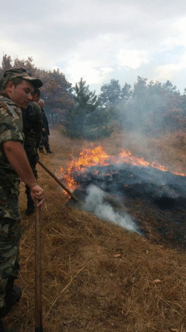 Военнослужещи от Сухопътните войски се включиха в овладяването на пожар в област Хасково