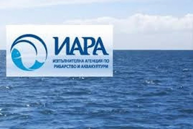 Служители на ИАРА заловиха  270 кг незаконно уловен калкан
