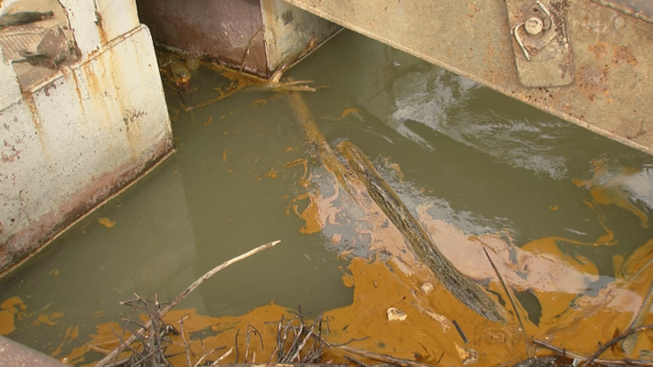 Замърсена е бреговата ивица на р. Дунав, установи проверка на РИОСВ - Русе