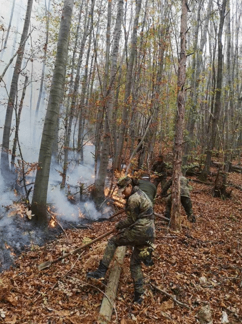 Военнослужещи от Сухопътните войски и Военновъздушните сили помагат в потушаването на големия горски пожар в Родопите Военнослужещи от Сухопътните войски и Военновъздушните сили помагат в потушаването на големия горски пожар в Родопите