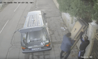 Биволъ