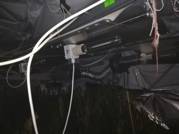 Разбита е наркооранжерия в околностите на София