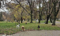 СО