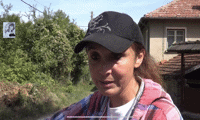 Биволъ