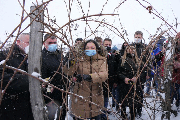 Министър Танева: През изминалата година лозаро-винарският сектор беше подпомогнат с над 60 млн. лева
