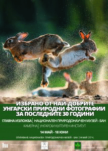 НатурАрт в Националния природонаучен музей при БАН