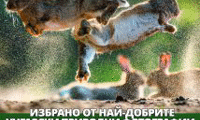 БАН