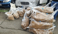МВР