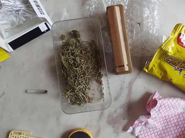 Суха маса, семена и засети стръкове канабис са иззети от частен адрес в с. Алдомировци.