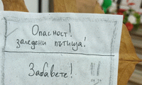 МВР