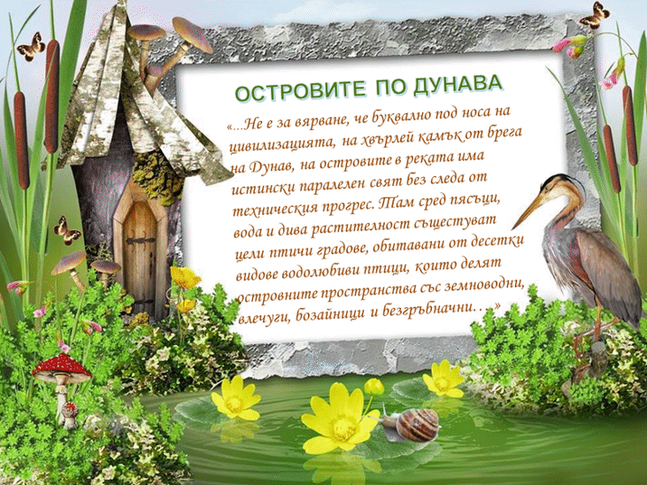 РИОСВ – Русе излъчи победители в конкурсите за Световния ден  на влажните зони