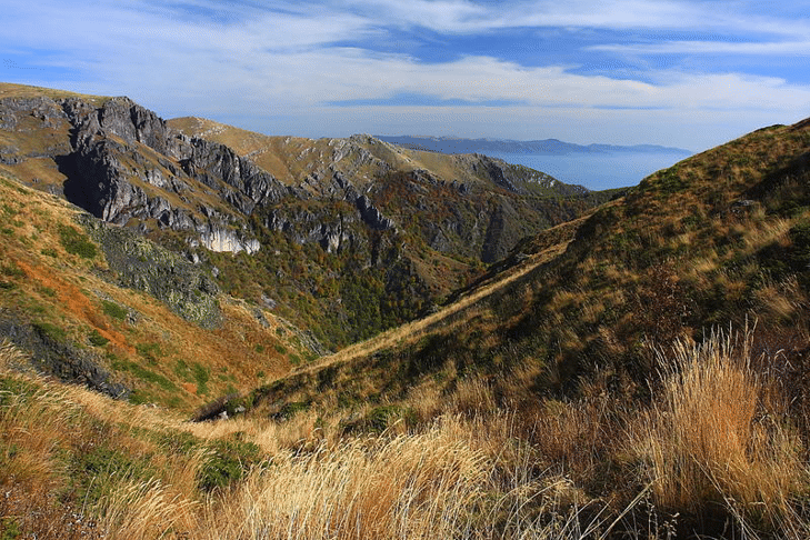 Установени са три нови растителни вида в „Централен Балкан“