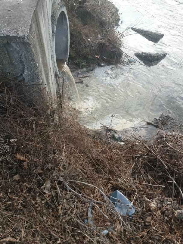 Експерти на МОСВ установяват причините за мъртва риба в р. Въча