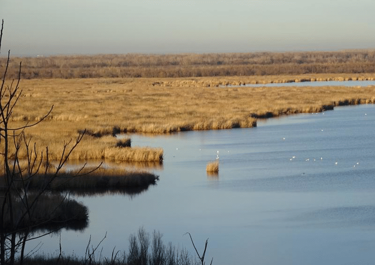 Учреден е управляващ орган на биосферен парк „Сребърна“
