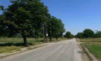 АПИ