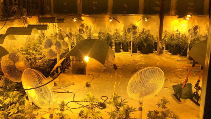 Специализираната прокуратура и ГДБОП задържаха група за производство на марихуана и разпространение на различни наркотици в Сливен