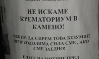 Биволъ