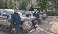МВР