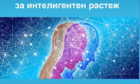 БАН