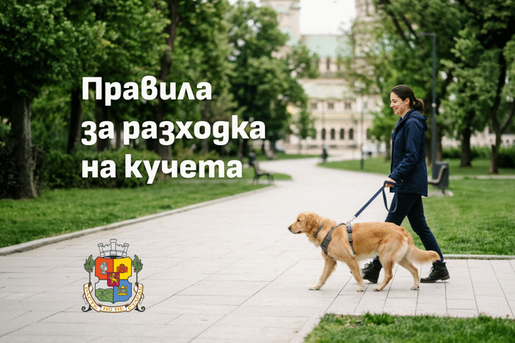Столичният инспекторат напомня: какво трябва да знае всеки собственик когато разхожда своето куче