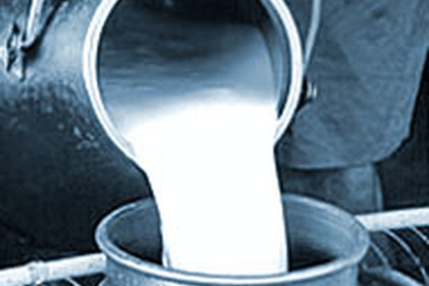 На 5 септември започва приемът на заявки за продажба на млечна квота