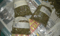 МВР