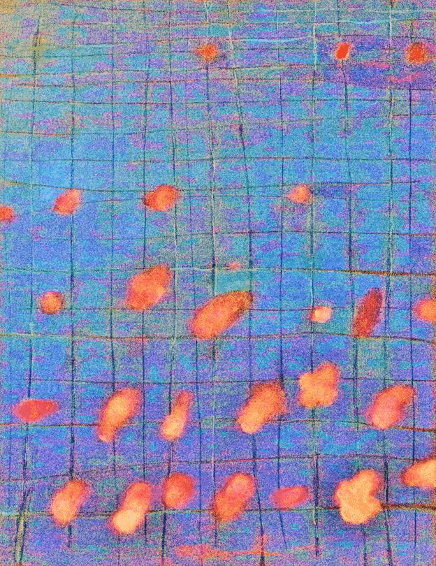 Тодор Захариев спечели награда от парк „Централен Балкан“