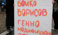Биволъ