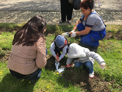 Повече от 100 деца участваха в засаждането на 1000 рози в Розариума на Ботаническата градина