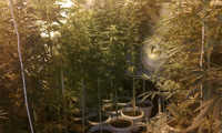 МВР