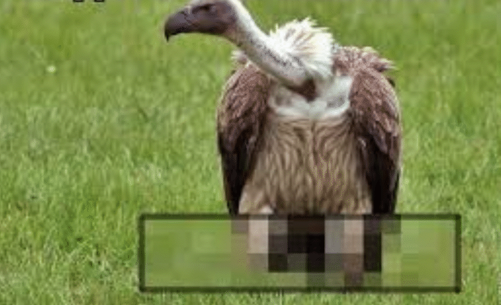 Външно пусна секретна поръчка за Cisco рутъри