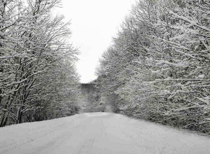 Движението на всички автомобили през проход Троянски /път II-35 Троян - Кърнаре/ е ограничено