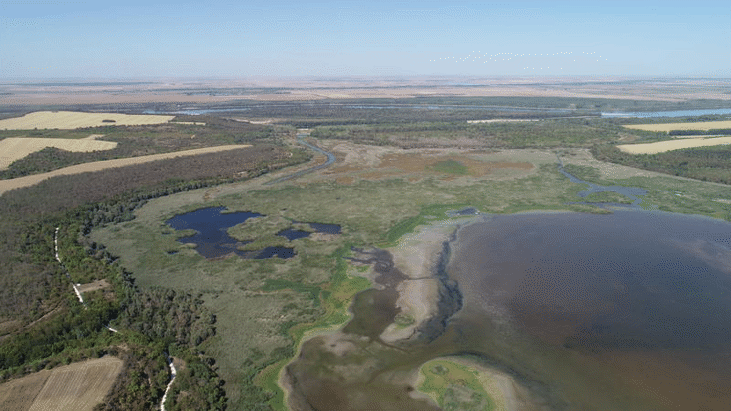 С прехвърлени над 3 млн. куб. м вода от река Дунав езерото Сребърна е спасено от пресъхване