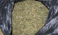 МВР