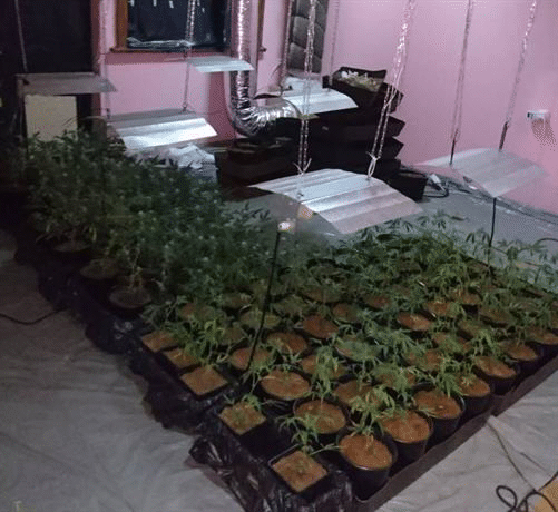 Трима са задържани за разпространение на наркотици в столицата