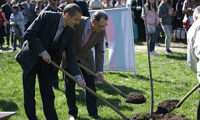 СО