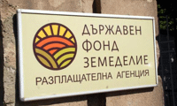 Биволъ