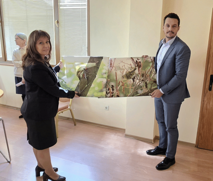 Омбудсманът настоява за незабавно спиране на застрояването и защита на Боянското блато