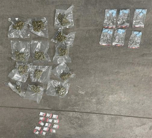 Служители на СДВР задържаха 103-ма души при спецакция срещу наркоразпространението