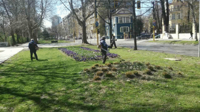 Започна пролетната поддръжка на зелените площи в София