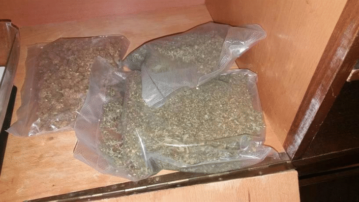 Голямо количество канабис и парични средства са иззели бургаски криминалисти