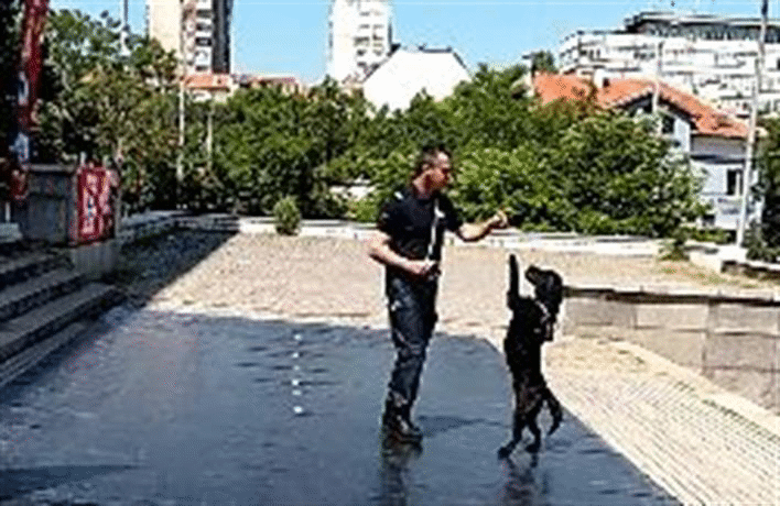 Полицейски служители демонстрираха пред деца работата със служебни кучета