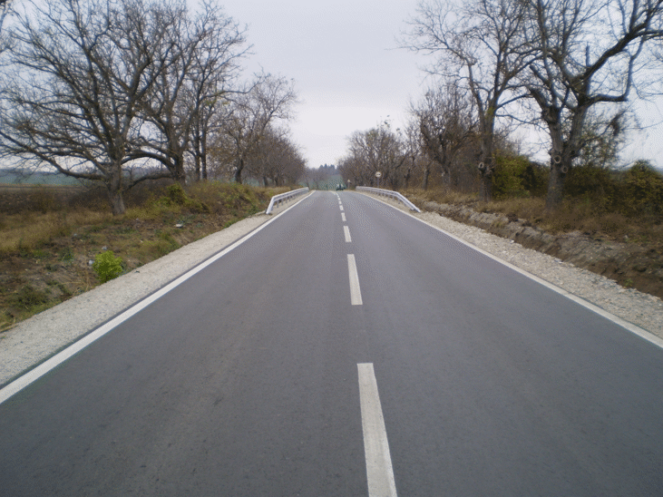 Ремонтирани са близо 14 км от път III-202 - най-кратката връзка на Попово и Опака с област Русе