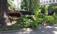 МОСВ