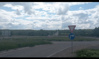 АПИ