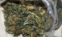 МВР