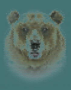 Акцент върху екосистемите и екосистемните услуги по повод Mеждународния ден на биологичното разнообразие 22 май